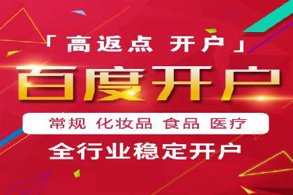 百度SEO推广公司经典之作：打造行业领先品牌
